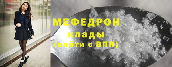 прущие грибы Верея