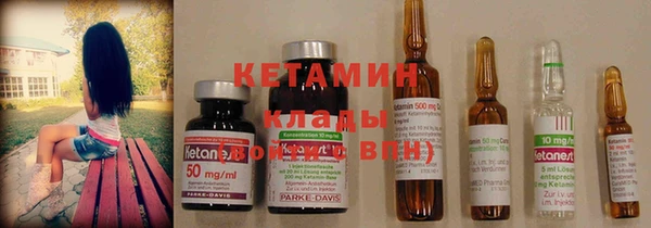прущие грибы Верея