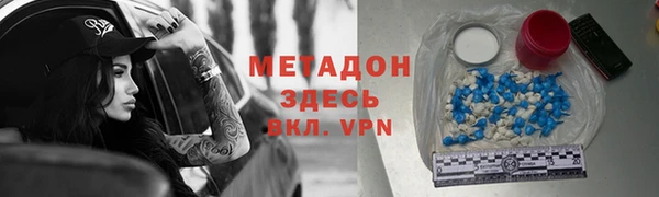 прущие грибы Верея