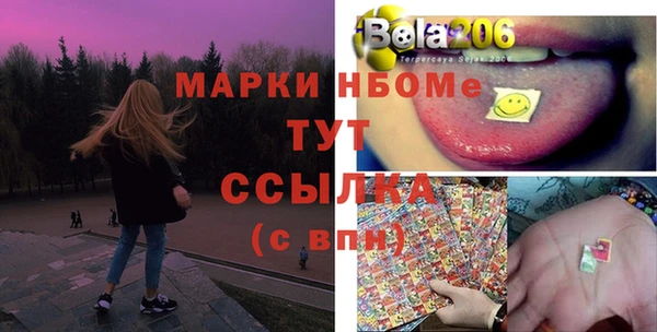 прущие грибы Верея