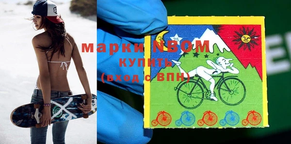 прущие грибы Верея