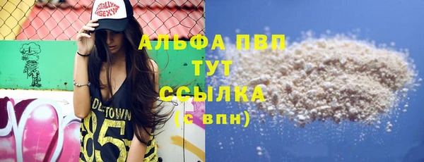прущие грибы Верея