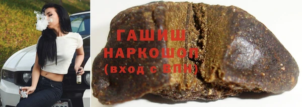 прущие грибы Верея