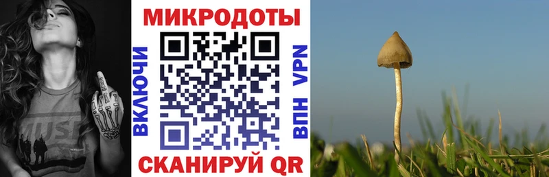 Галлюциногенные грибы прущие грибы  hydra tor  Новосокольники  цены  